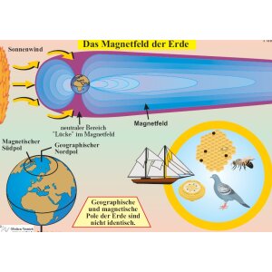 Das Magnetfeld der Erde