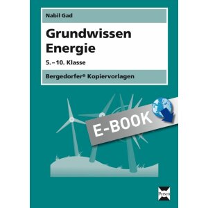 Grundwissen Energie