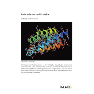 Aminosäuren und Proteine - Klassen 11/12