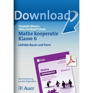 Leitidee Raum und Form - Mathe kooperativ Klasse 6
