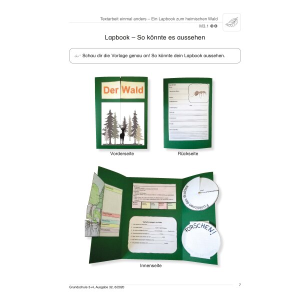 Lapbook zum heimischen Wald - Textarbeit einmal anders
