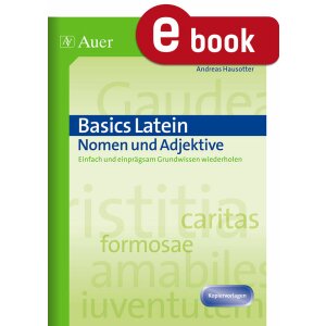 Nomen und Adjektive - Basics Latein
