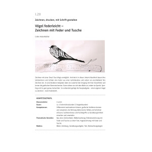 Vögel federleicht - Zeichnen mit Feder und Tusche