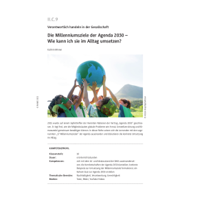 Die Millenniumsziele der Agenda 2030 - Klasse 10