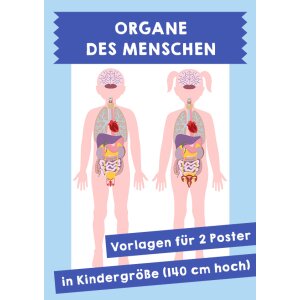 Organe des Menschen. Vorlagen für 2 Poster in...