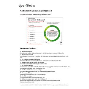 Steuern in Deutschland 2021 - Infografiken