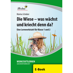 Die Wiese - was wächst und kriecht denn da? Klasse...