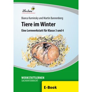 Tiere im Winter - 3./4. Klasse