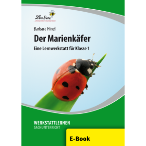 Der Marienkäfer - Lernwerkstatt Klasse 1