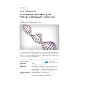 Aufbau der DNA - Wiederholung und Vertiefung