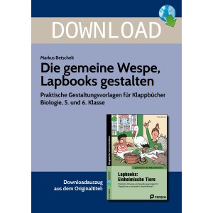 Lapbook: Die gemeine Wespe