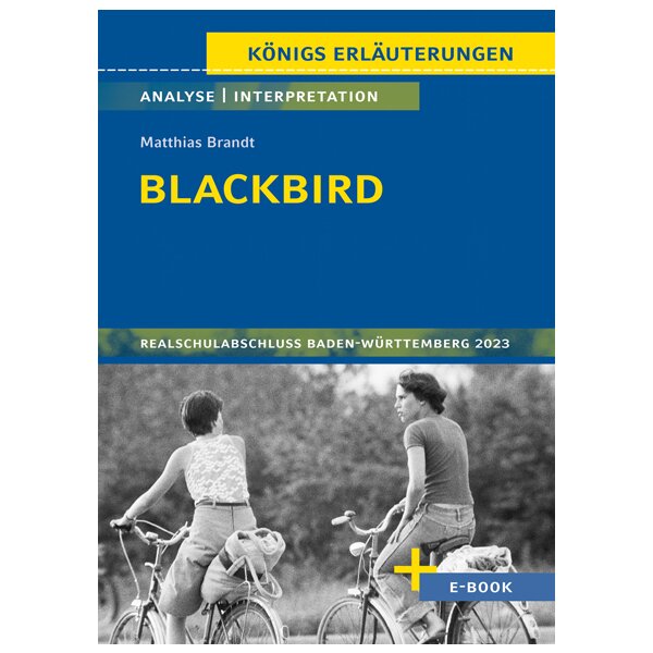 Brandt: Blackbird - Interpretation und Analyse