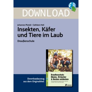 Insekten, Käfer und Tiere im Laub - Draußenschule