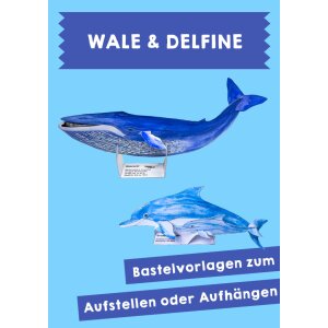 Wale und Delfine - Vorlagen