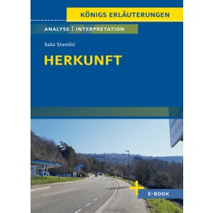 S.Stanišić: Herkunft - Interpretation und Analyse