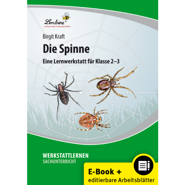 Werkstattlernen - Die Spinne (2. und 3. Klasse)