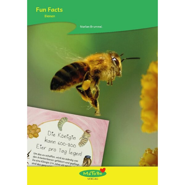 Bienen - Fun Facts
