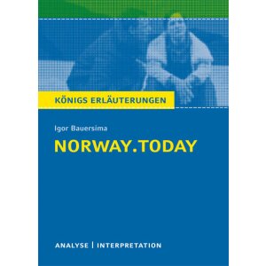 Bauersima: norway.today. - Interpretation und Analyse