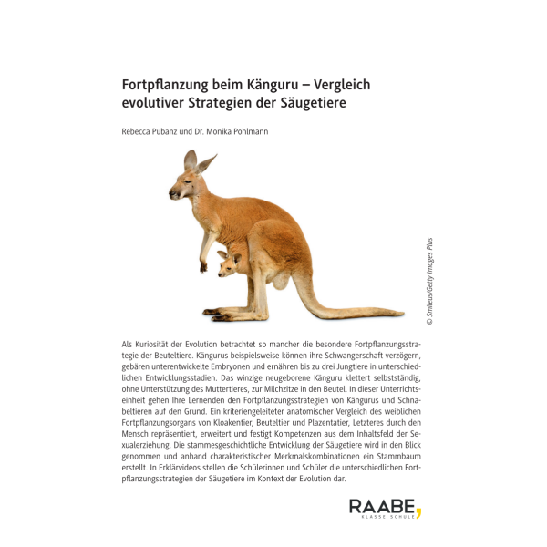 Fortpflanzung beim Känguru - Vergleich evolutiver Strategien der Säugetiere