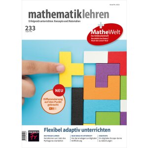 mathematik lehren: Flexibel adaptiv unterrichten