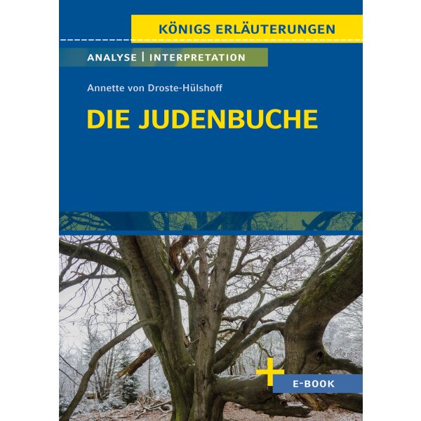 Droste-Hülshoff: Die Judenbuche - Analyse u. Interpretation