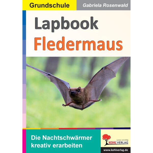 Lapbook Fledermaus (Klasse 3/4)