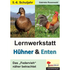 Lernwerkstatt Hühner und Enten (Klasse 5/6)