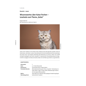 Lesetexte zum Thema Katze 2.Klasse