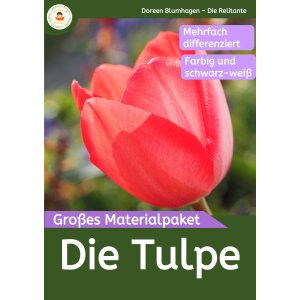 Die Tulpe im Sachunterricht - Materialpaket