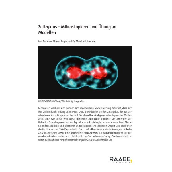 Zellzyklus - Mikroskopieren und Übung an Modellen (Biologie Sek II)