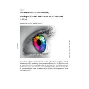 Fotorezeptoren und Fototransduktion - Farbensehen verstehen