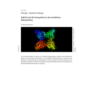 RuBisCO und die Fotosynthese in der mündlichen...