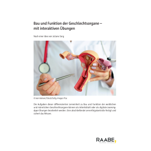 Bau und Funktion der Geschlechtsorgane (Klasse 6-9)