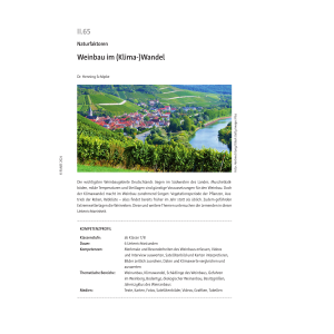 Weinbau im (Klima-)Wandel - Klasse 7/8