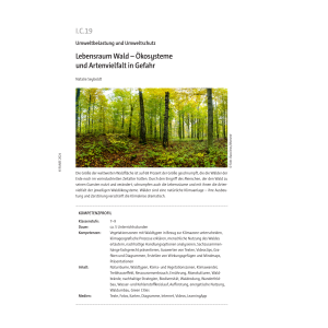 Lebensraum Wald - Geografie Klasse 7/8