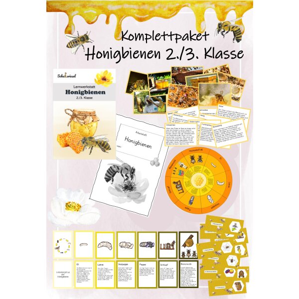 Honigbiene Klasse 2/3 - Materialpaket
