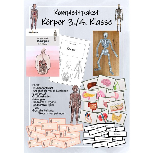 Körper Klasse 3/4 - Materialpaket