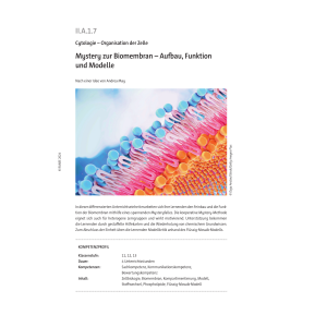 Mystery zur Biomembran - Aufbau, Funktion und Modelle