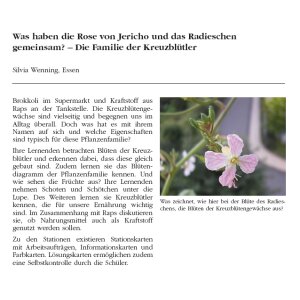 Die Familie der Kreuzblütler - Was haben die Rose...