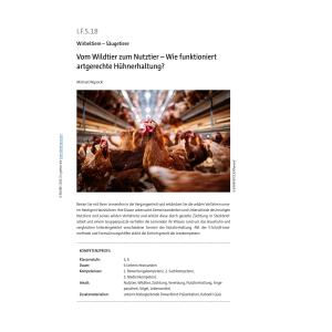 Wie funktioniert artgerechte Hühnerhaltung? Klasse 5/6