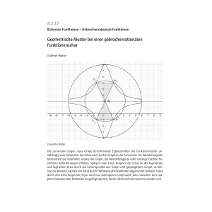 Geometrische Muster bei einer gebrochenrationalen...