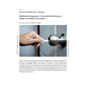 Chemische Betrachtung von Aufbau und Funktion von Enzymen...