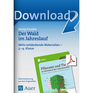 Der Wald im Jahreslauf im Sachunterricht