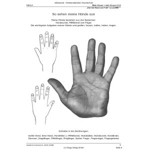 Das hat Hand und Fuß! (3.-4. Klasse)