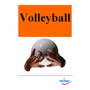 Volleyball (Schullizenz)