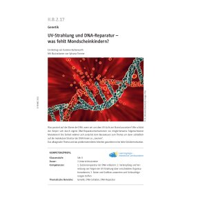 UV-Strahlung und DNA-Reparatur