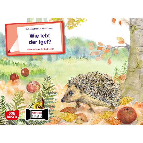 Wie lebt der Igel? - Bilderbuchkino