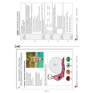 Wochenplan Deutsch 2.Klasse