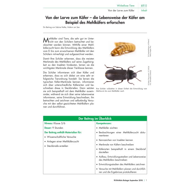 Lebensweise der Käfer am Beispiel des Mehlkäfers erforschen