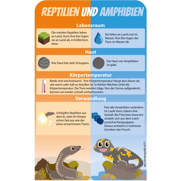 Reptilien und Amphibien - Kindergrafik